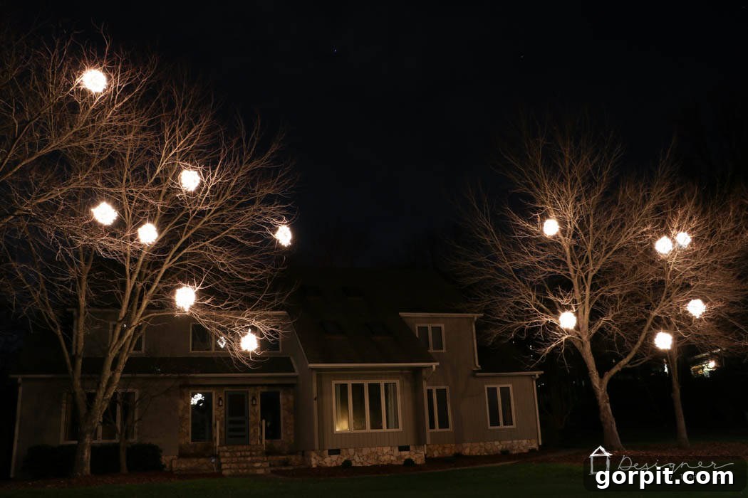 featured 10067