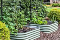 The Definitive Vego Garden Bed Review