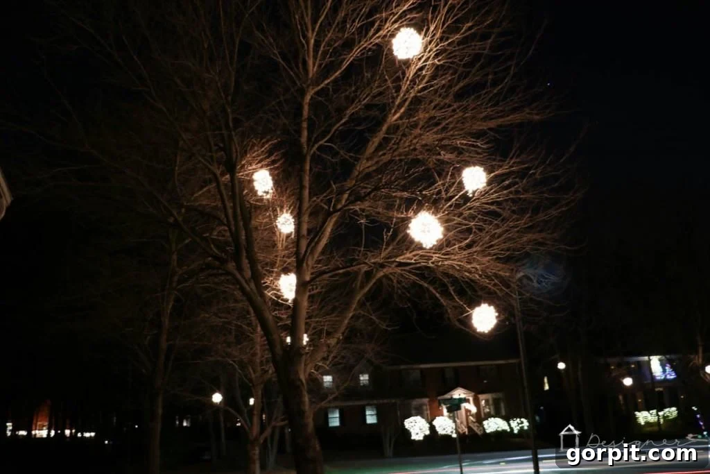 Create a dazzling holiday display with our lighted Christmas balls tutorial. Perfect for transforming your yard into a winter wonderland.