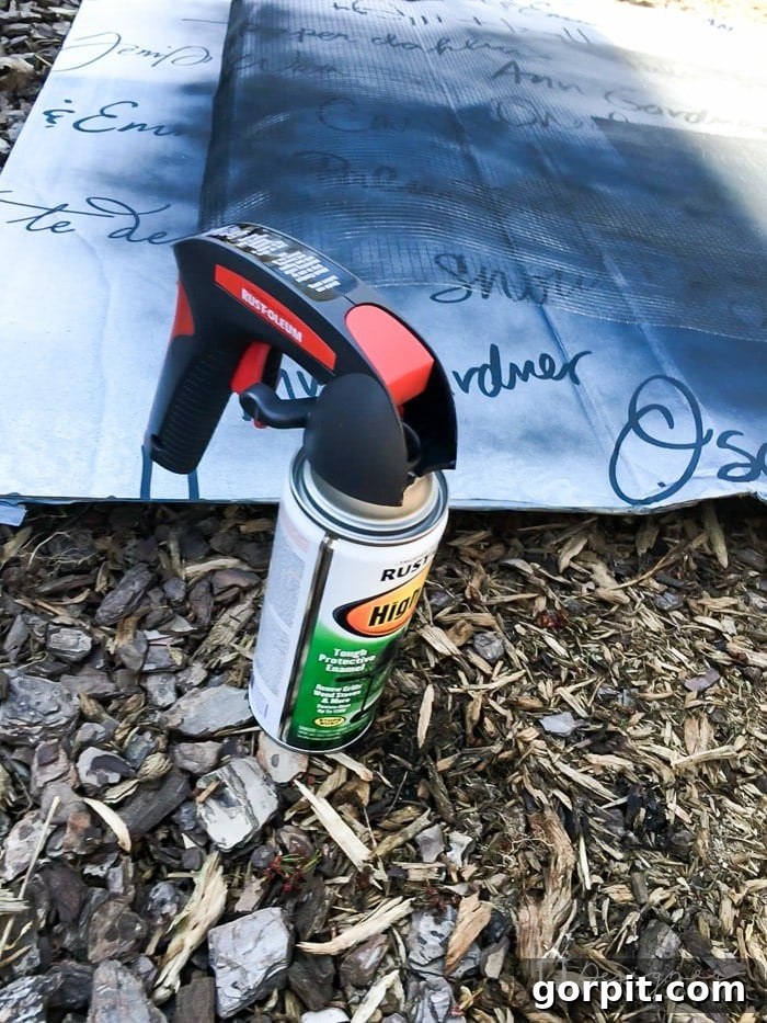 Painting the hardware cloth and metal components black with high-heat spray paint.