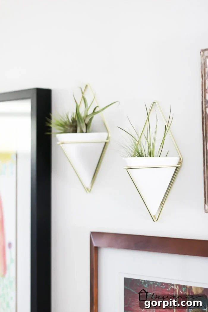 Stylish bathroom towel hooks beneath a gallery wall, adding both function and charm.