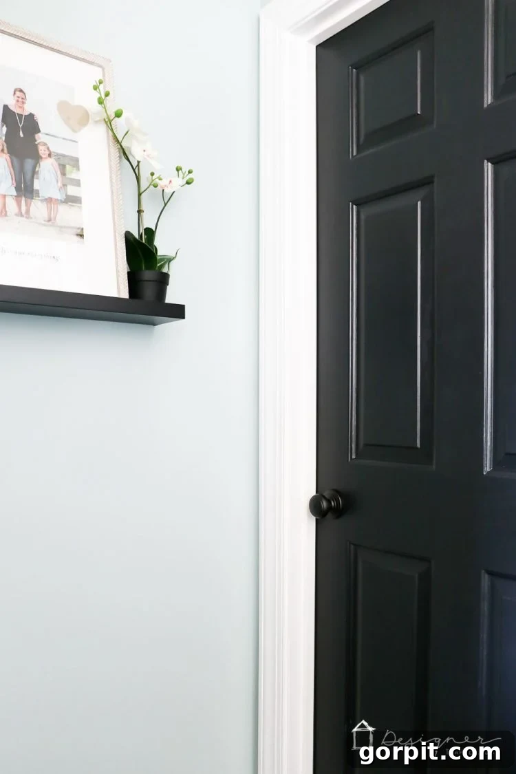 Beautifully updated black interior door with elegant Schlage Aged Bronze door knob and hinges.