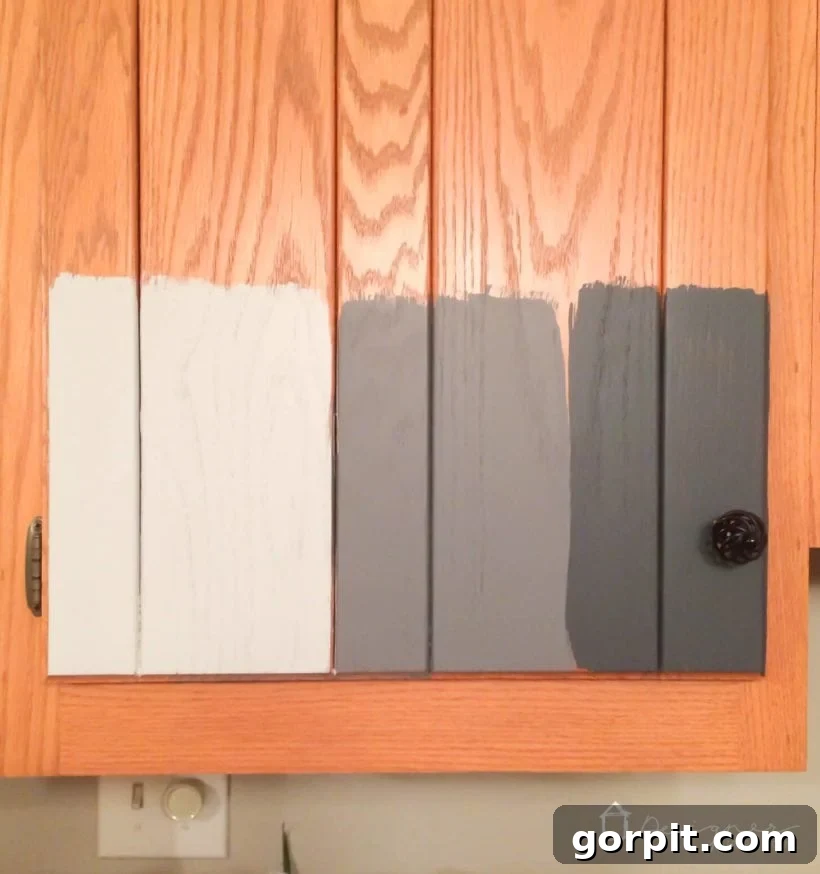 Paint samples applied to a cabinet door to test adhesion and color.