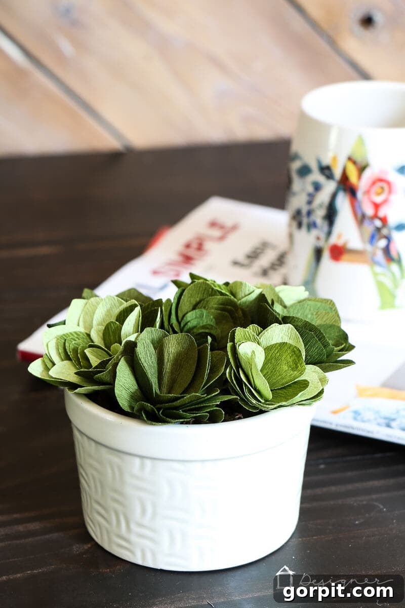 Cricut's Edge: Crafting Impeccable Crepe Paper Succulents 13 Detailed shot of handmade crepe paper succulents adding natural beauty to home styling.