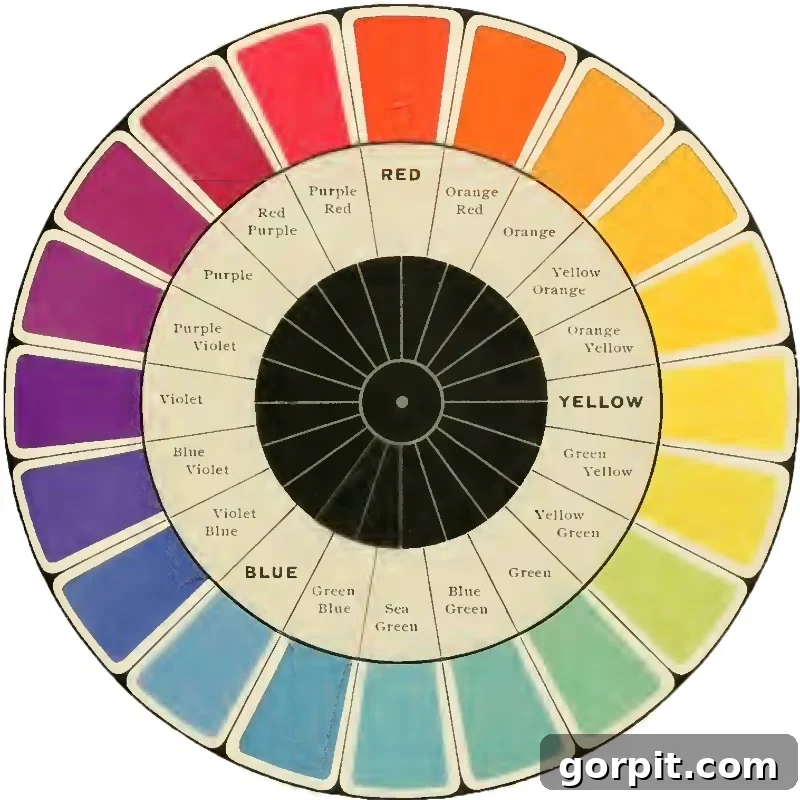 Color wheel illustrating the division between warm and cool colors, with an emphasis on color psychology.