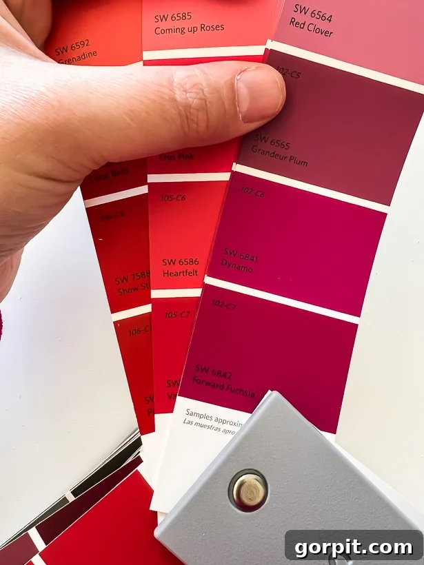 Image demonstrating clear differences in undertones of colors on paint chips when observing their darkest shades.