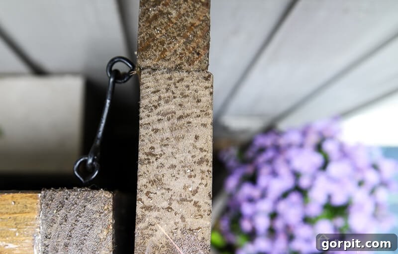 DIY Outdoor Electrical Box Enclosure 9 image showing top view looking down at a gate door's hook and latch closure
