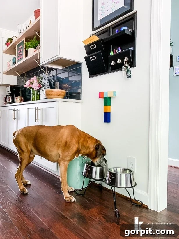 Vibrant Kitchen Transformation Unveiled 28 family command center in modern kitchen remodel, illustrating practical organizational solutions