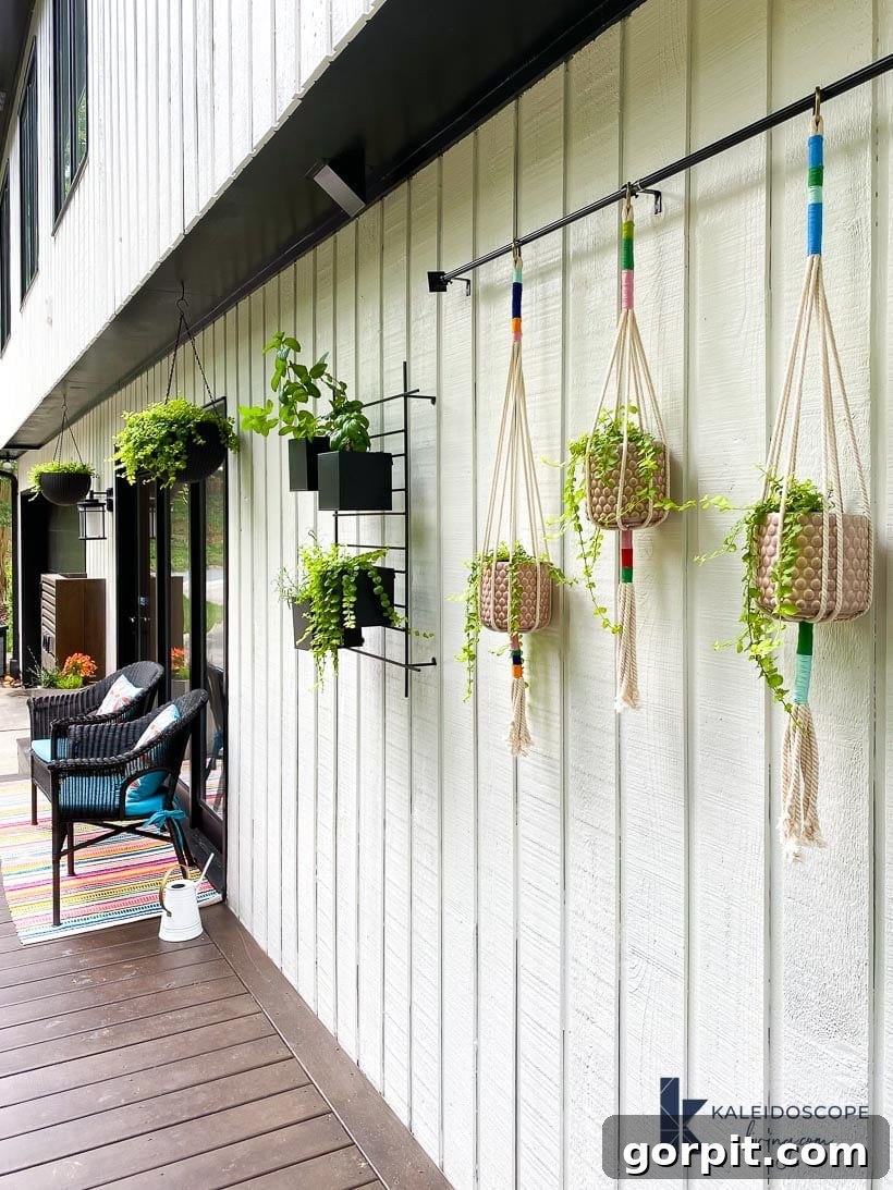 three macrame plant hangers with various plants hanging from a rod