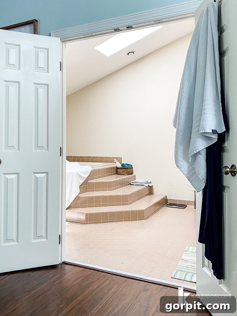 Dream Master Bath on a Budget Revealed 3 master bathroom before remodel dark brown walls