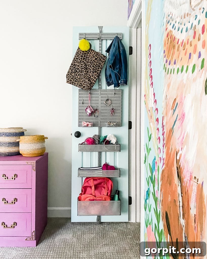 The Overlooked Goldmine in Your Home 8 closet door organization