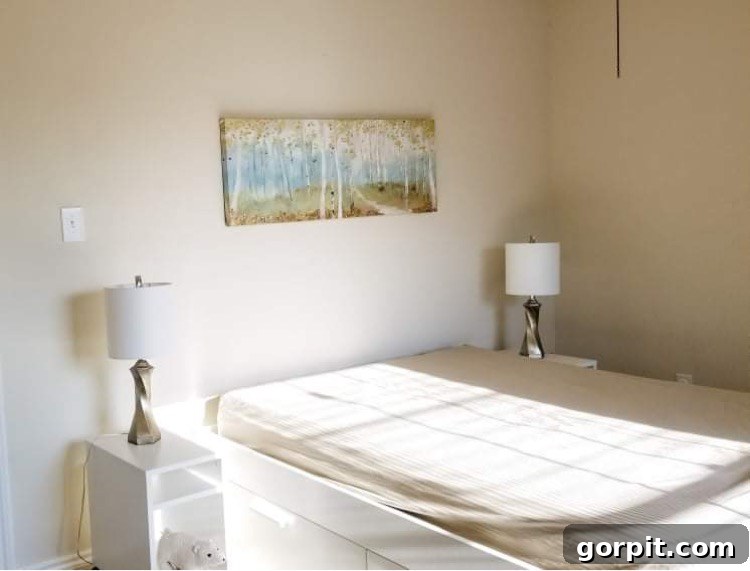 Before: Plain bedroom with simple walls and basic furniture, lacking distinctive style.