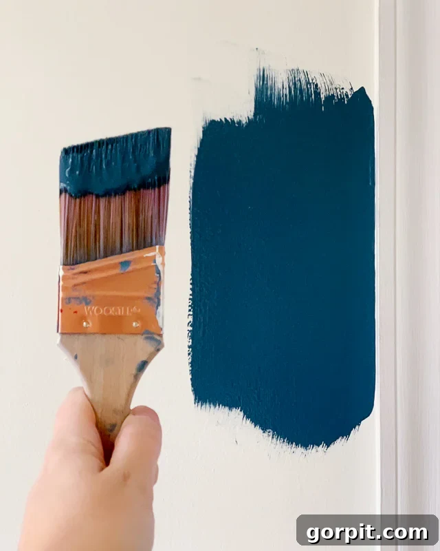 Your Guide to Perfect Paint Sheen Selection 2 sample of dark navy blue paint on wall