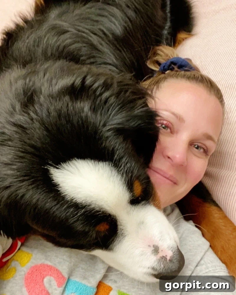 Secrets to a Clean Home with Dogs 2 Woman snuggling a Bernese Mountain Dog in a clean, bright home, illustrating a pet-friendly lifestyle.
