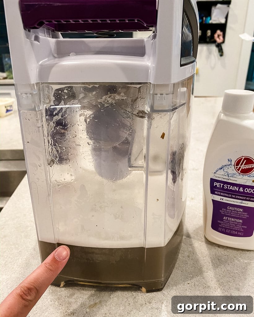 Secrets to a Clean Home with Dogs 6 Dirty water collected in a Hoover carpet cleaner after cleaning a rug, highlighting the effectiveness of the machine.