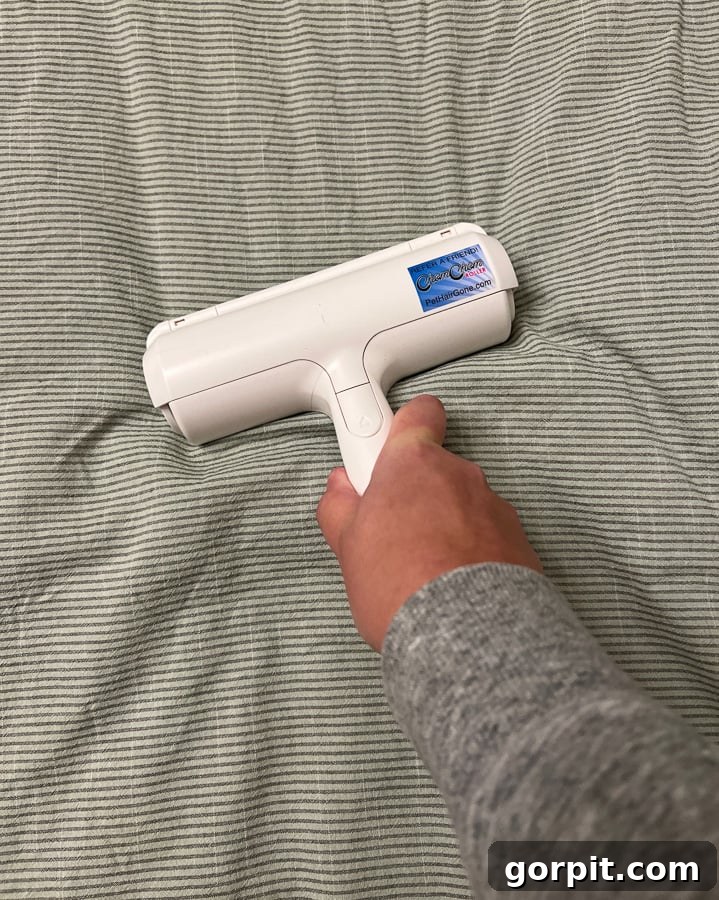Secrets to a Clean Home with Dogs 8 Chom Chom pet hair remover, an effective tool for removing dog hair from furniture and bedding.