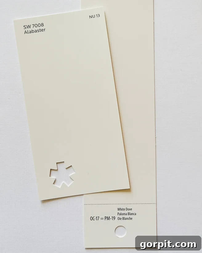 Sherwin Williams Alabaster vs. Benjamin Moore White Dove paint swatches compared.