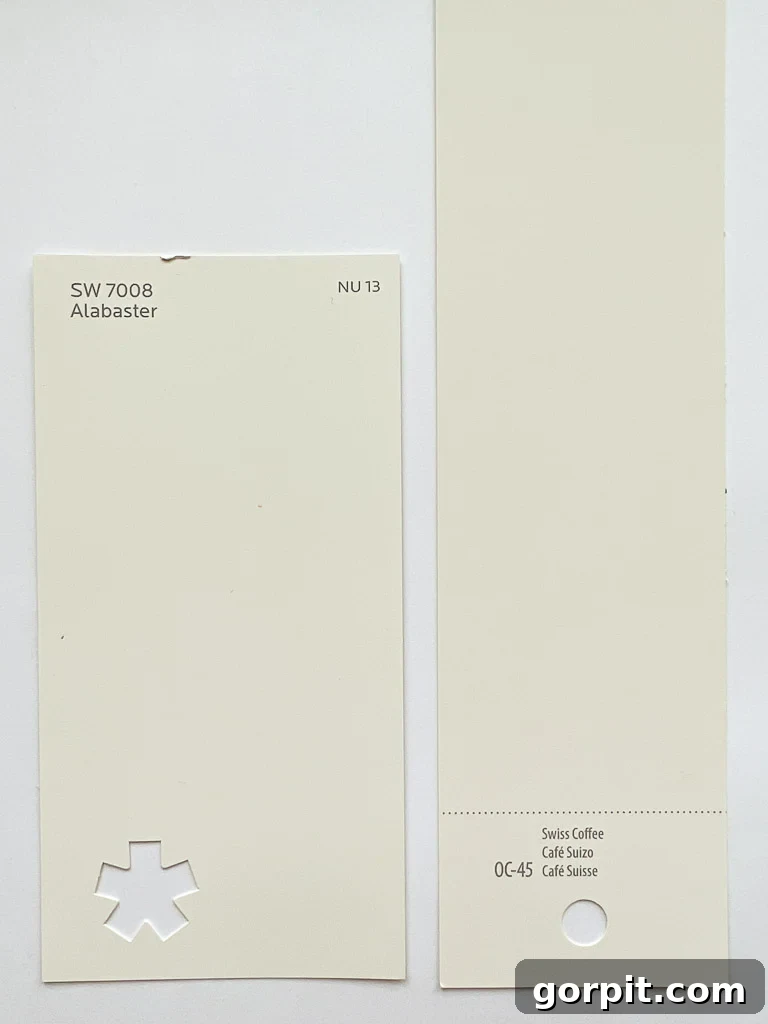 Sherwin Williams Alabaster vs. Benjamin Moore Swiss Coffee paint swatches, highlighting their differences in undertone.
