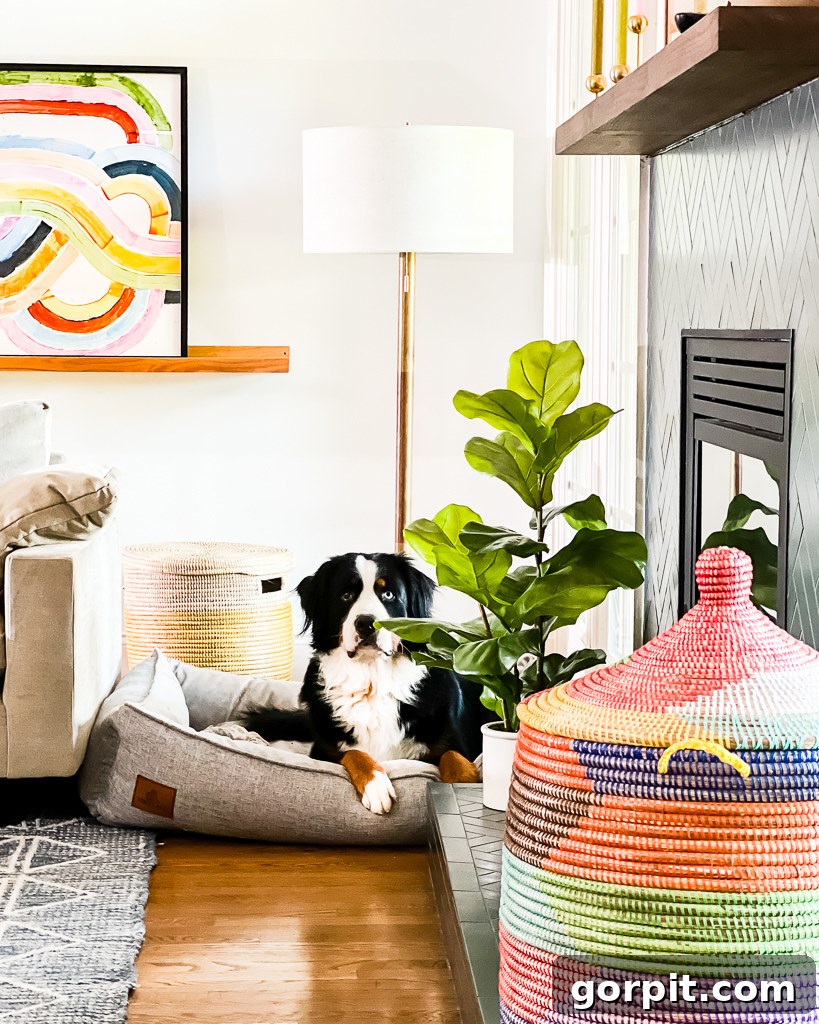 A serene and clutter-free family room, featuring minimalist decor and clear surfaces.