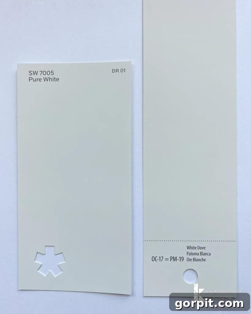 pure white vs. white dove