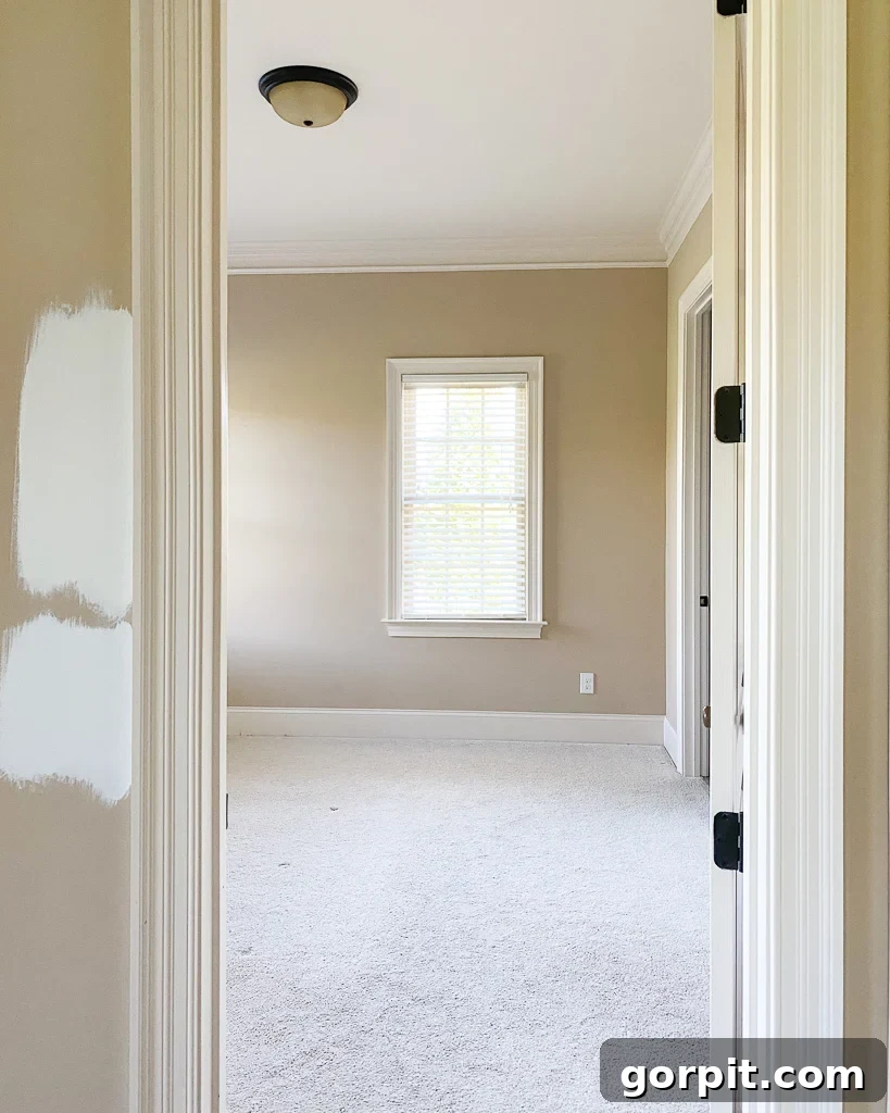 samples of Sherwin Williams Pure White and Alabaster painted on wall