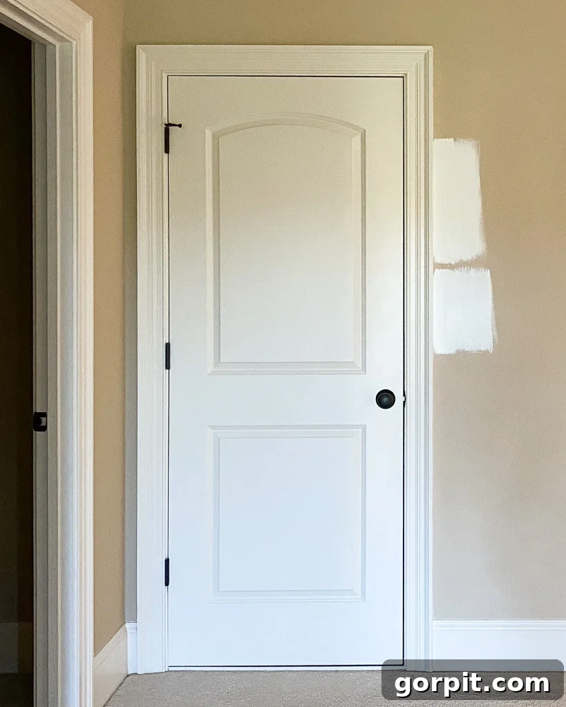 samples of Sherwin Williams Pure White vs. Alabaster painted on wall