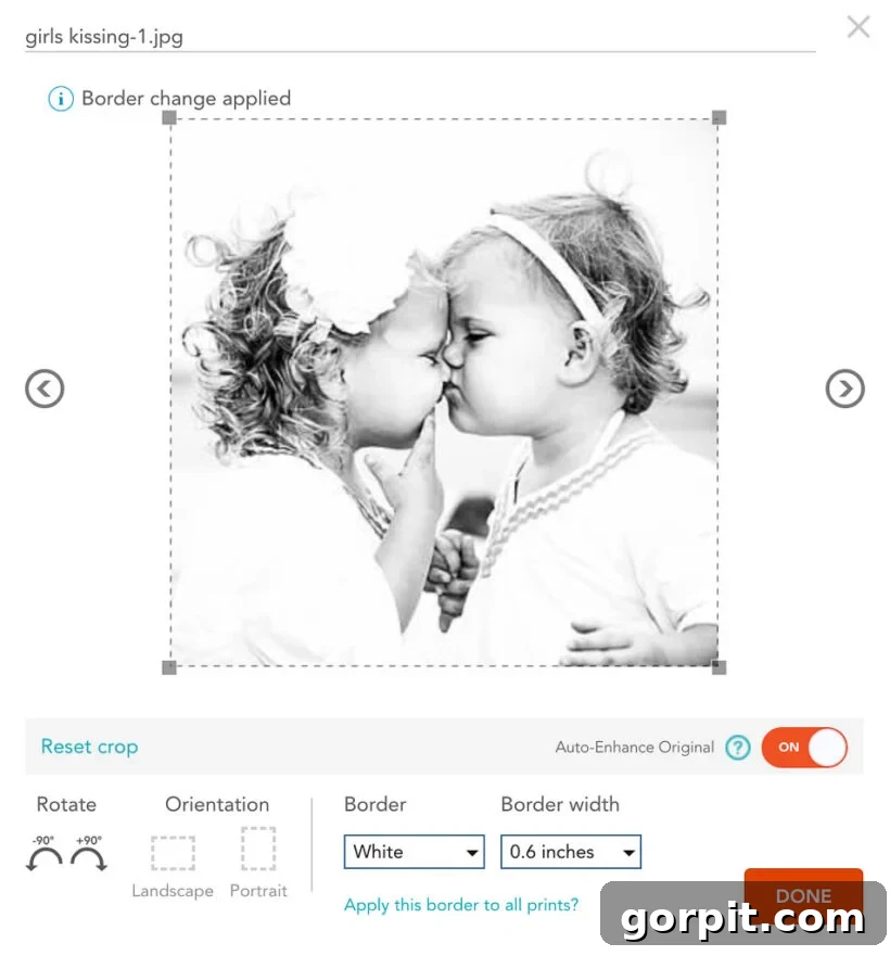 A Family's Visual Tapestry 3 Screenshot showing how to order photos with a white border on Shutterfly for a gallery wall project.