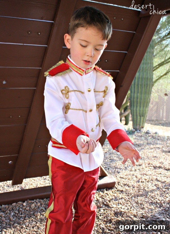 Adorable Homemade Costumes for Little Trick-or-Treaters 23 DIY Prince Charming costume