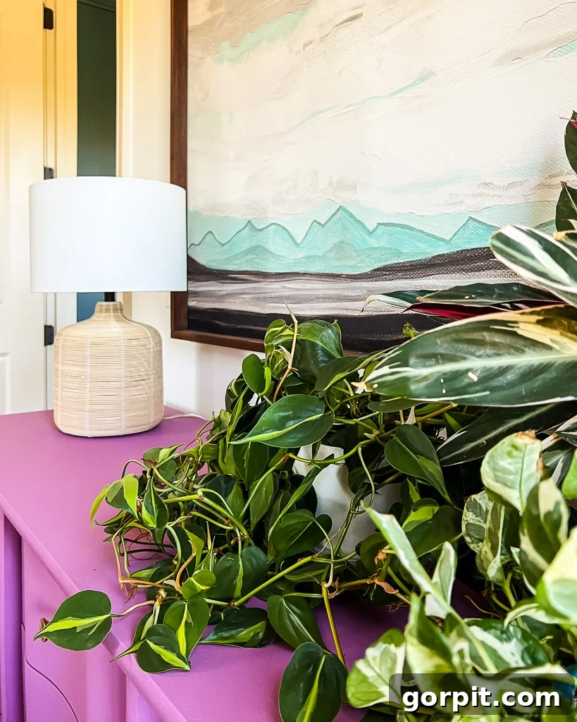 Detailed shot of the guest room featuring multiple plants, highlighting their role in adding natural beauty and texture to the colorful interior.
