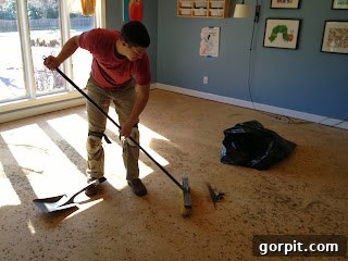 Subfloor After Carpet Removal