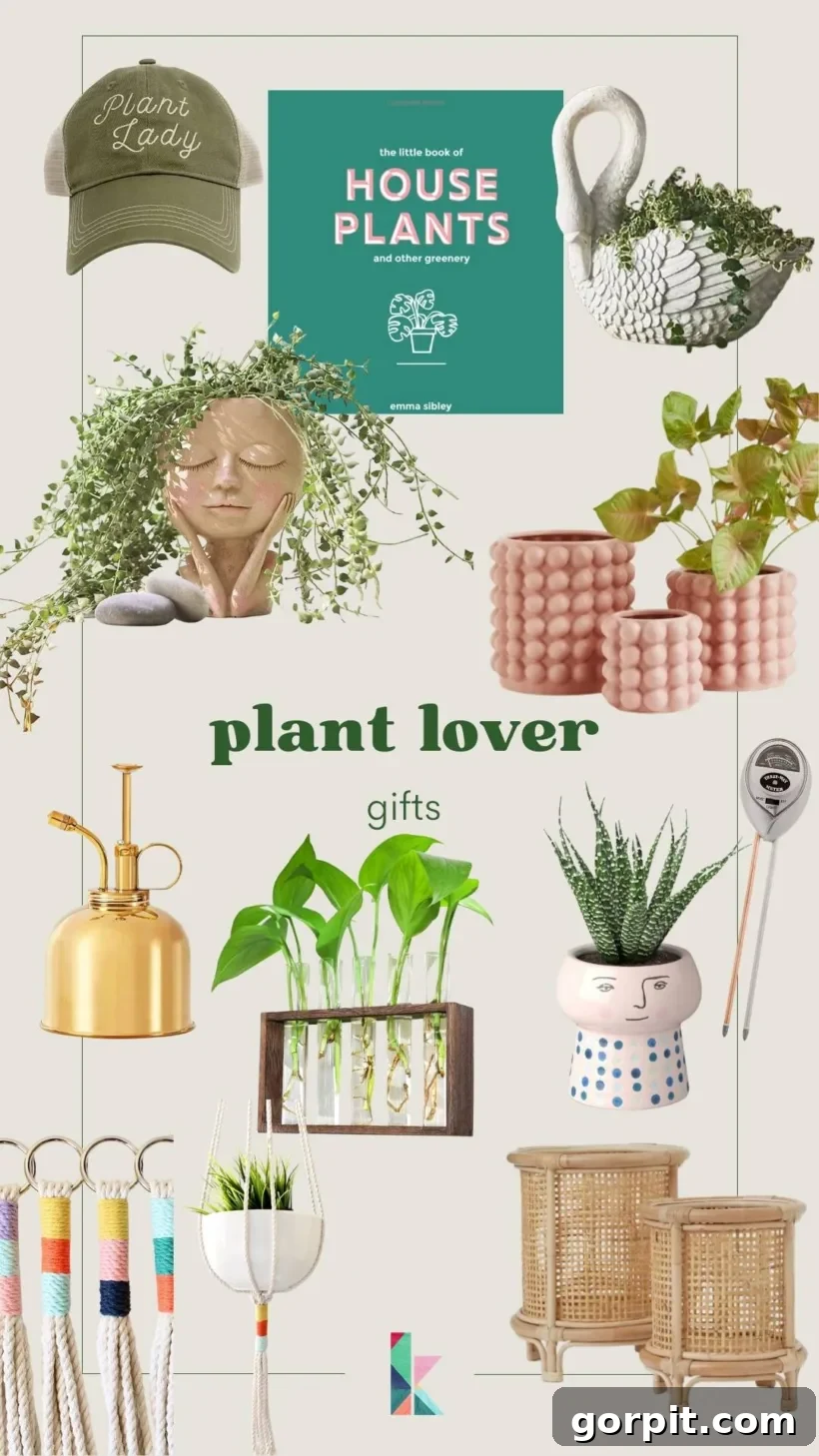 The best gifts for plant lovers in 2023