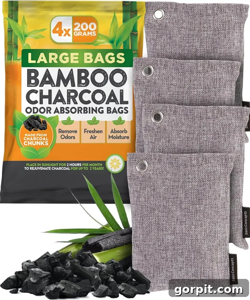 My Go-To Gifts Under $25 16 Odor Absorber Charcoal Bags