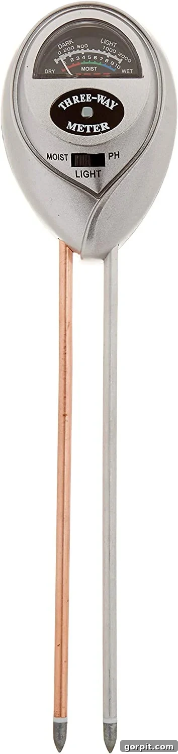 My Go-To Gifts Under $25 3 fiddle fig soil meter