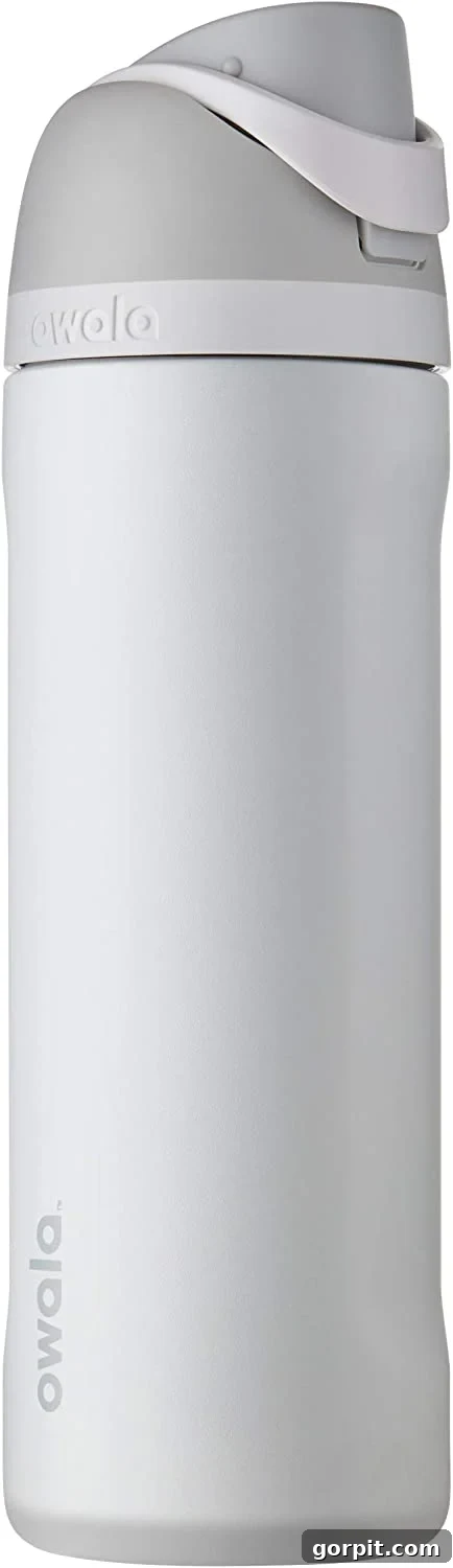 My Go-To Gifts Under $25 6 white Owala water bottle