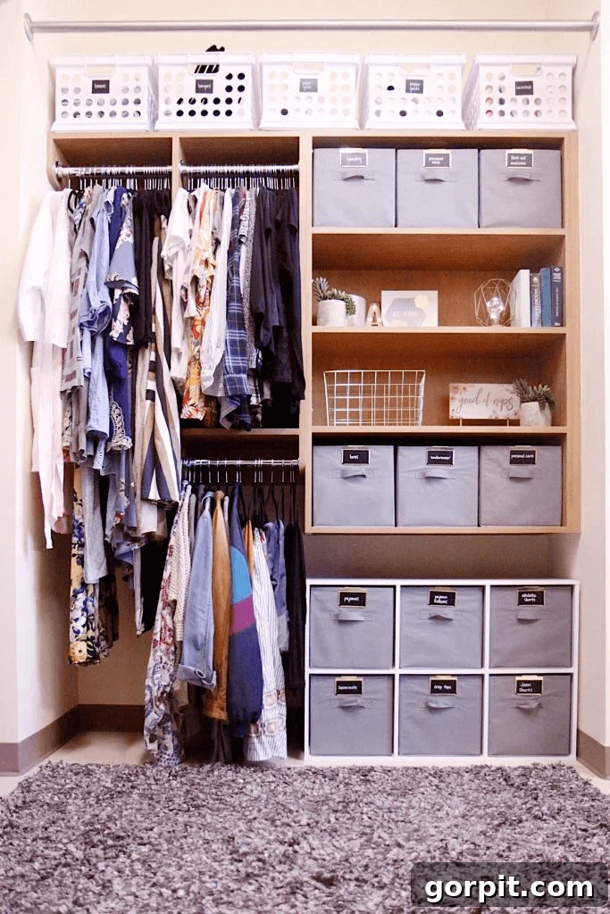 Dorm Room Unlocked: Smart Hacks for Ultimate Space 8 Dorm room closet organization with storage bins
