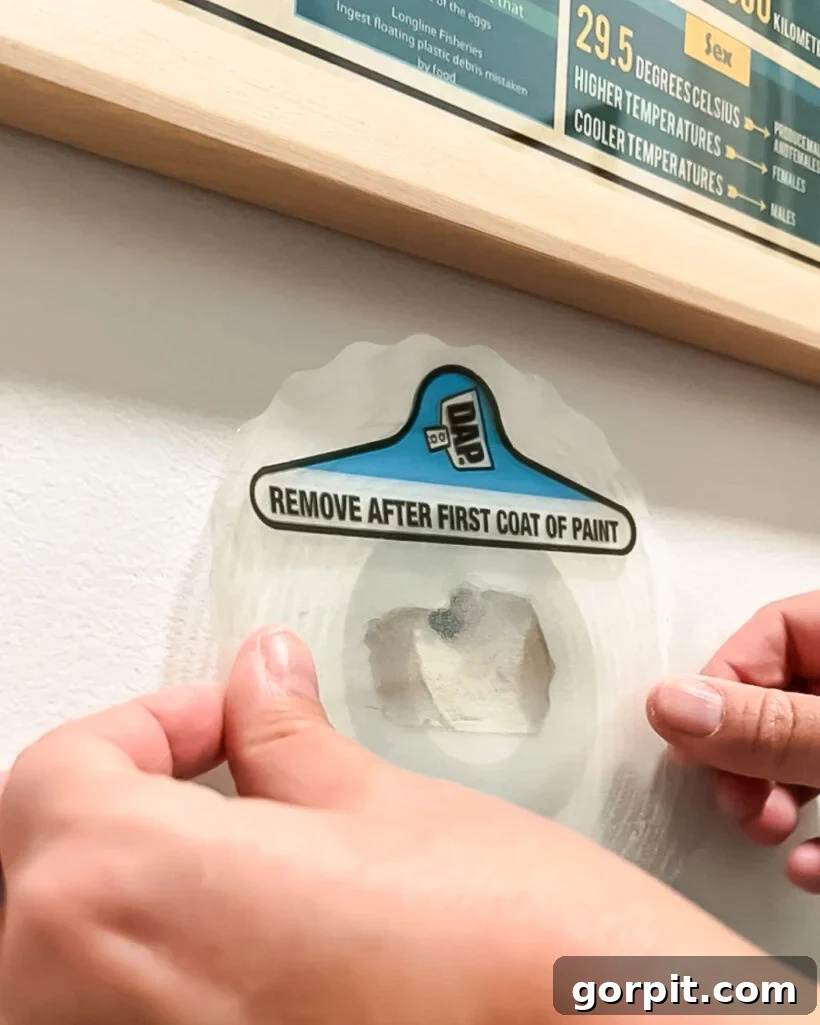 Effortless Wall Repair A DIY Guide 2 Woman expertly applying a DAP Eclipse patch over a hole in the drywall, demonstrating a simple and mess-free repair process for homeowners.