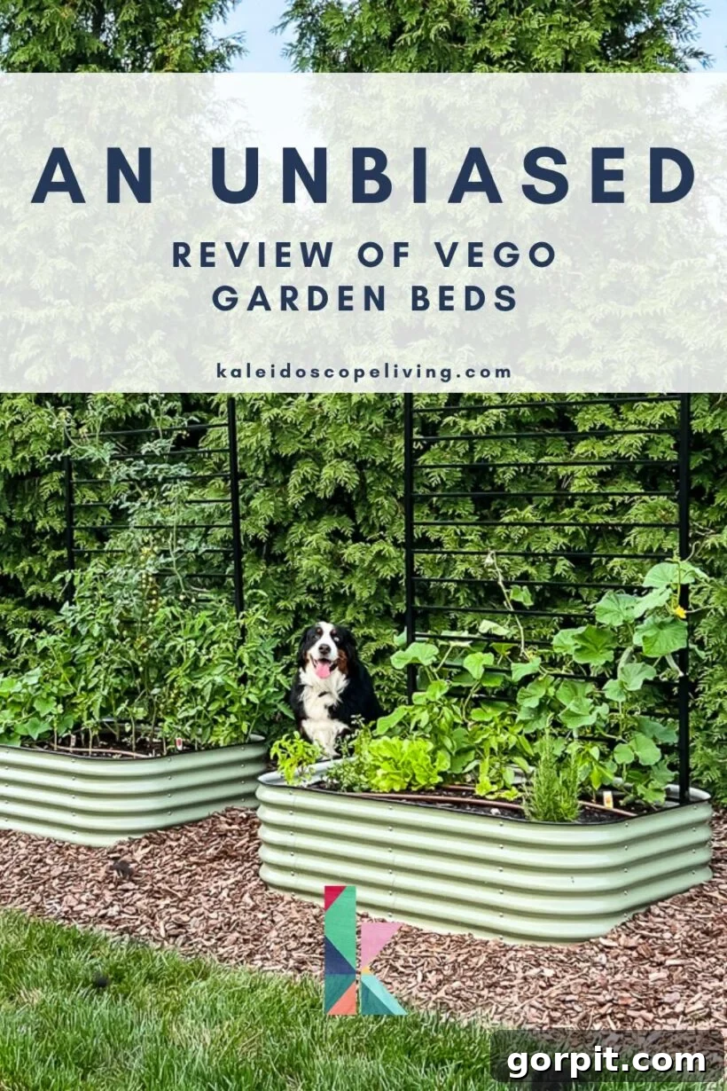 Two green Vego garden beds filled with thriving plants in a well-maintained residential garden, with an overlay text announcing an 'Unbiased Review of Vego Garden Beds'.