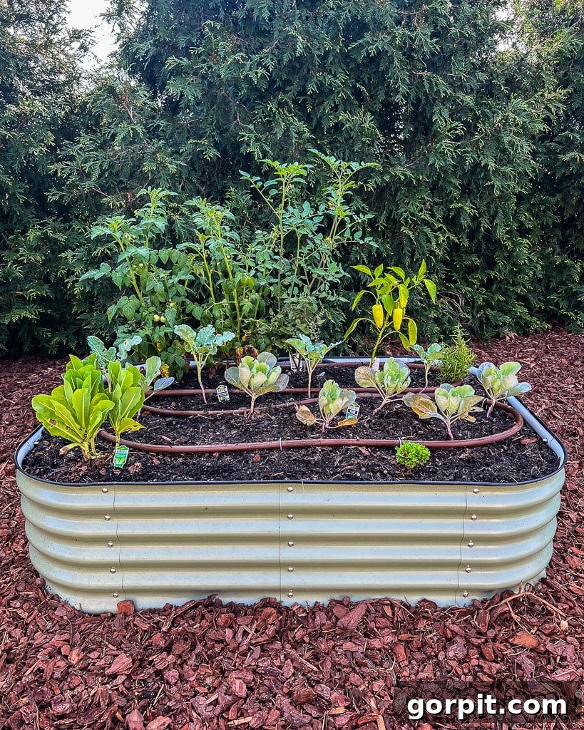 A pristine green Vego garden bed, filled with lush plants, nestled in a mulched area of a backyard, showcasing its durability and aesthetic appeal.