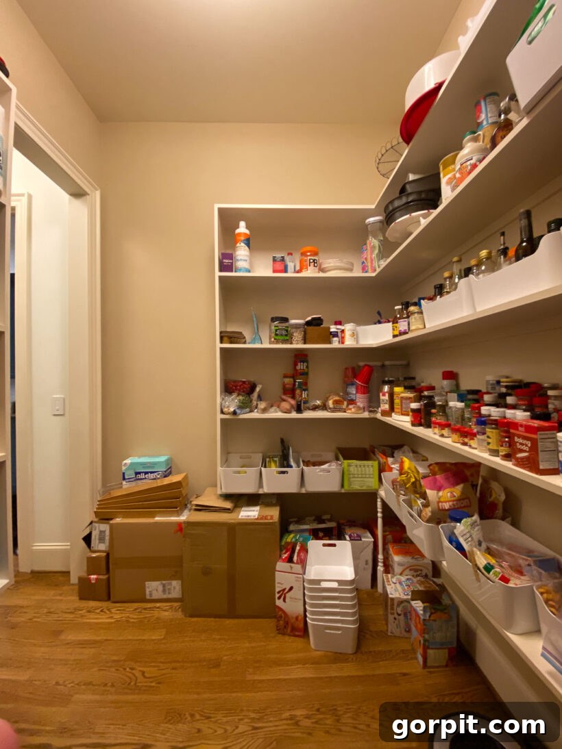 Before image of walk-in pantry showing ample wasted vertical space between uniformly spaced shelves.