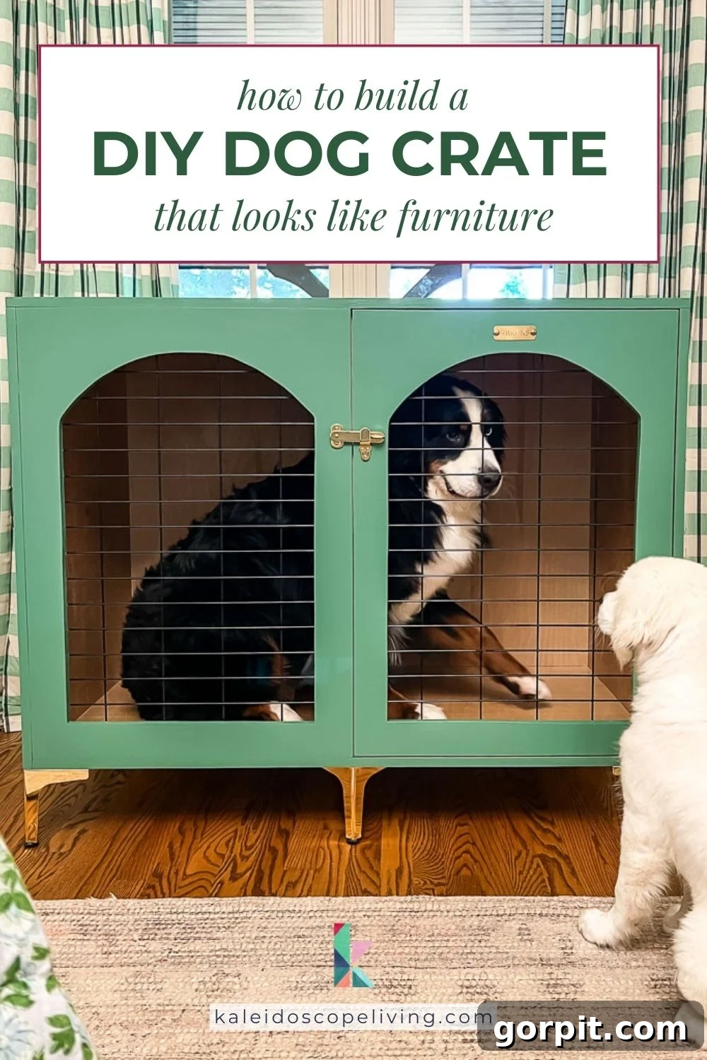 Bernese Mountain Dog inside a DIY wood dog crate painted green with brass accents