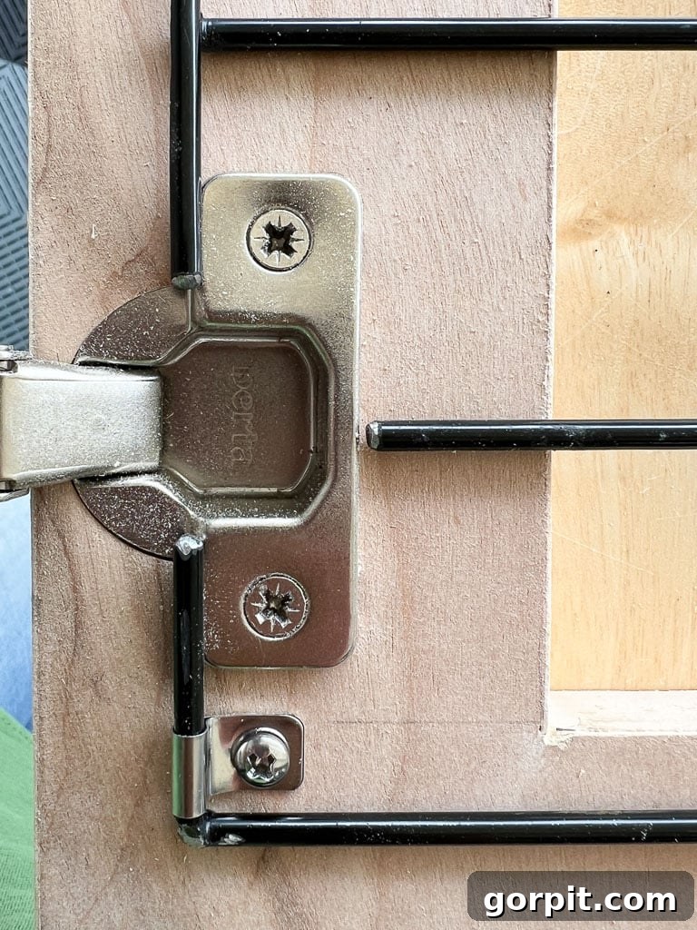close up photo of concealed door hinge in the door frame of a wooden DIY dog crate