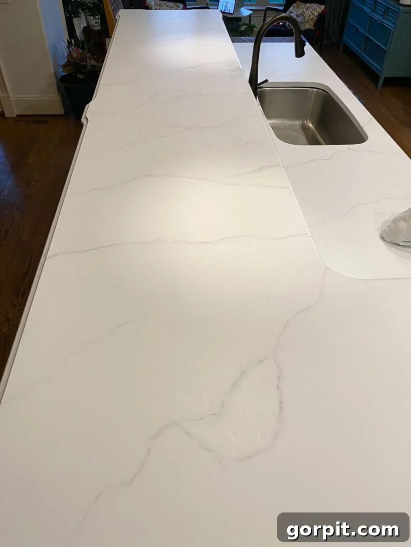 Painted Countertops The Long Haul Report 6 Transformed granite countertops painted to look like luxurious marble