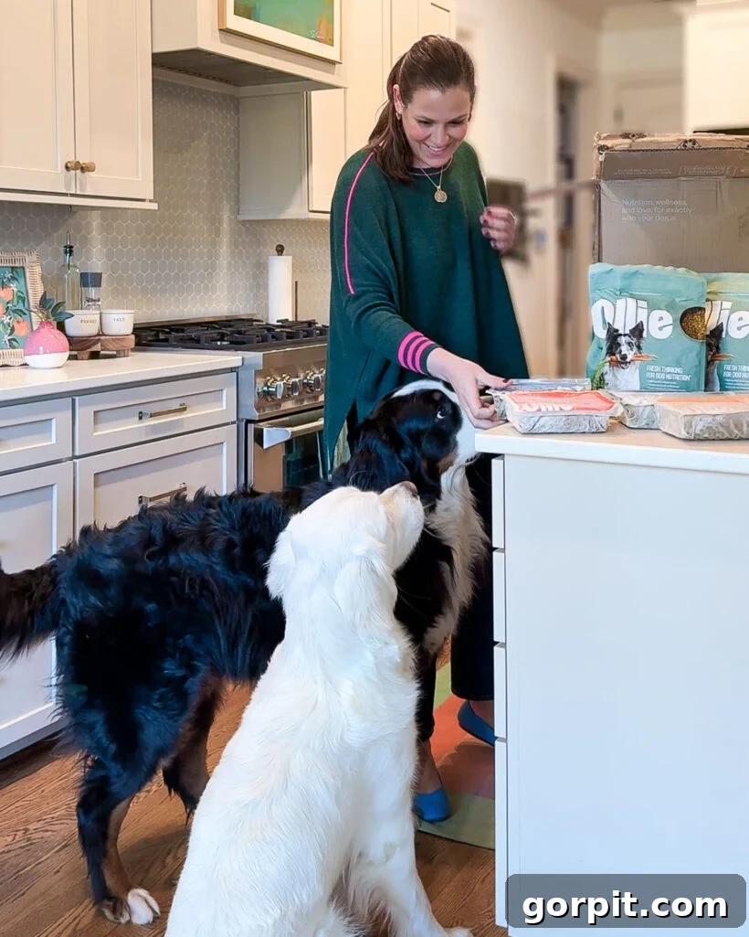Tasha Agruso in kitchen with two dogs and Ollie dog food