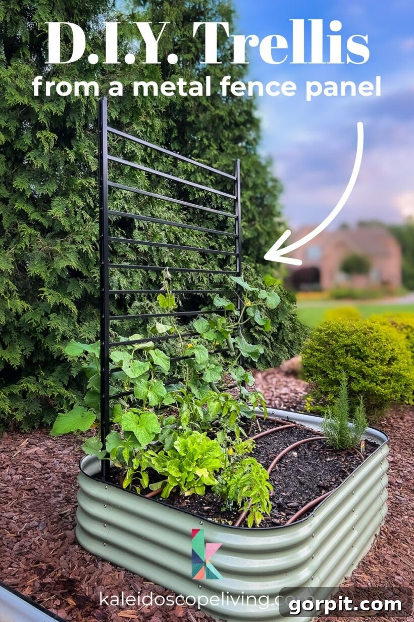 A beautifully designed Vego garden bed features a modern, black DIY trellis constructed from a metal fence panel, showcasing lush greenery. The image is overlaid with text that reads "DIY Trellis from a metal fence panel," highlighting the project.