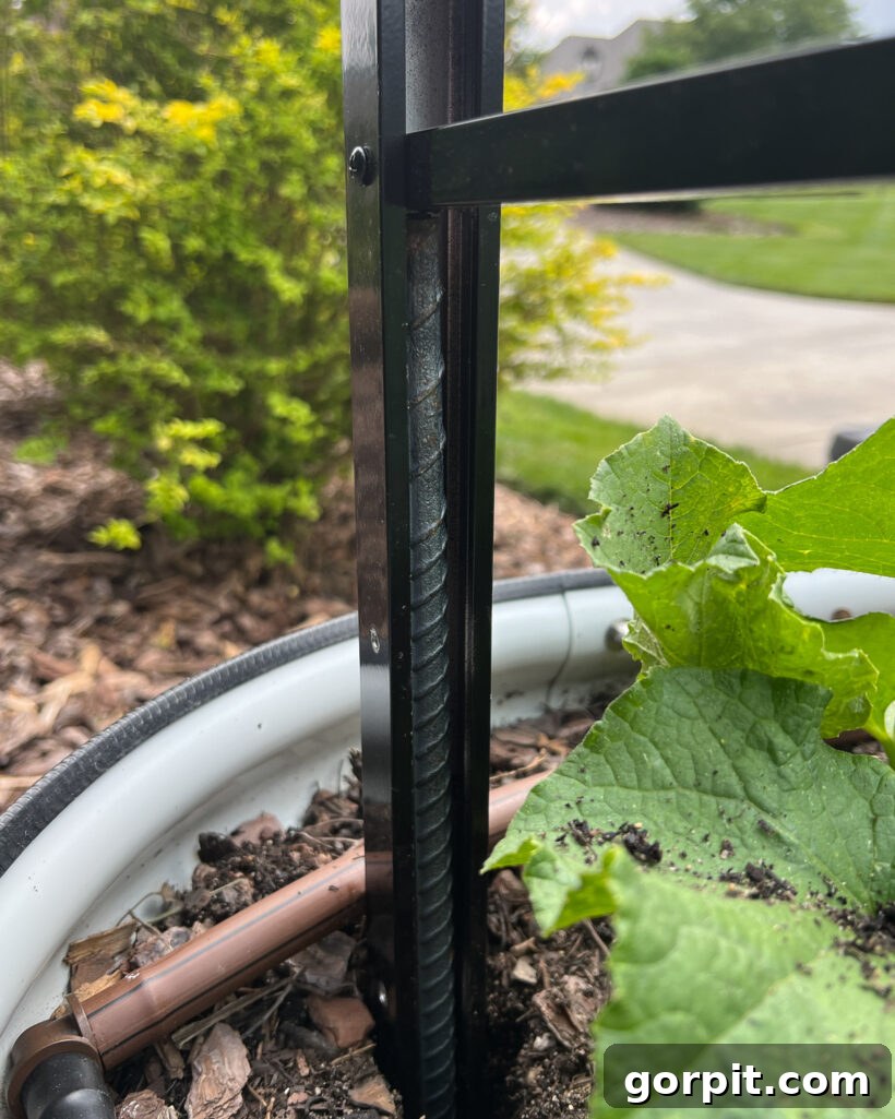The installed rebar is shown fitting perfectly inside the edge of a metal fence rail, forming the base of a modern DIY trellis for a raised vegetable garden bed, ready for securing.