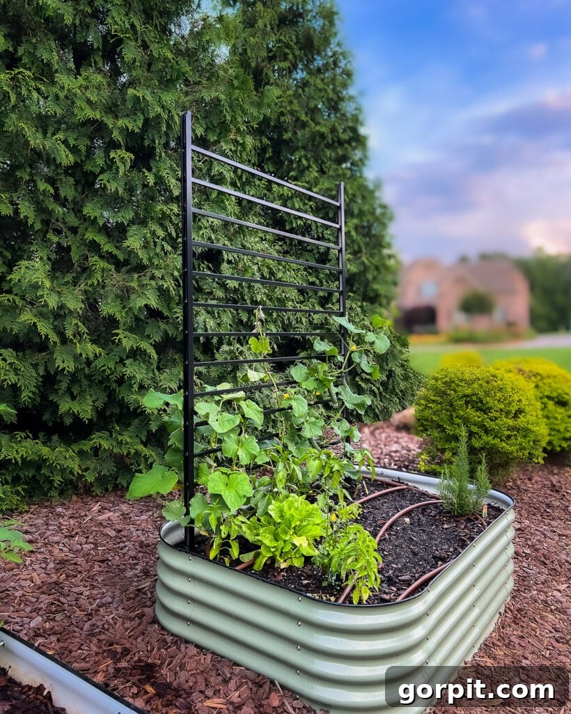 A close-up view of a single DIY modern black trellis standing proudly in a Vego garden bed, highlighting its sleek design and providing strong support for growing plants.
