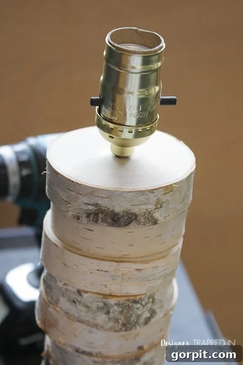 Pushing the Lamp Socket into Place and Adjusting Excess Cord Through the Base