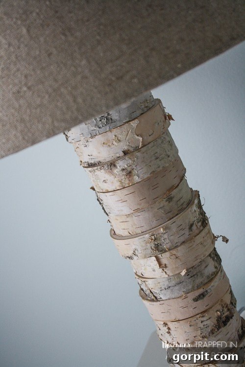 DIY Wood Slice Lamp on a Side Table with Books and Greenery