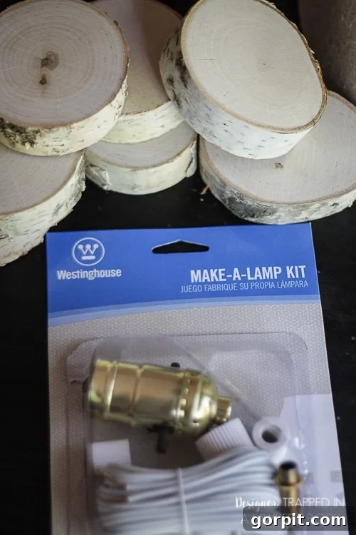 Close-up of Birch Wood Slices and Lamp Kit Components for DIY Project