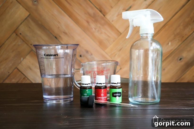 Homemade Chemical-Free Bug Defense 3 Step-by-step guide to making DIY natural bug spray at home with simple ingredients and essential oils for safe and effective mosquito protection.